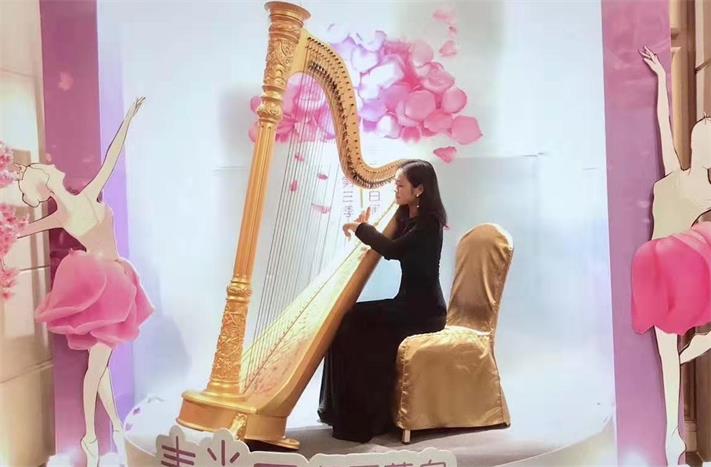 堅琴(圖1) 廣州活動策劃公司,廣州演出公司,企業(yè)年會節(jié)目,公司年會策劃