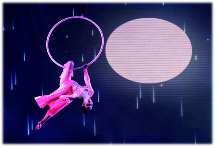 雜技節(jié)目，馬戲團節(jié)目，廣州活動策劃公司，廣州演出公司