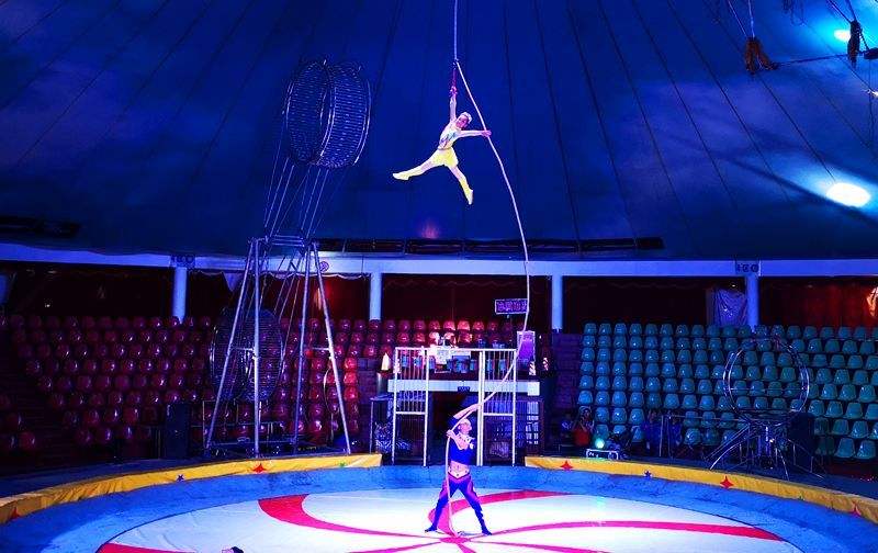 雜技團(tuán)節(jié)目，馬戲團(tuán)節(jié)目，廣州活動(dòng)策劃公司，廣州演出公司