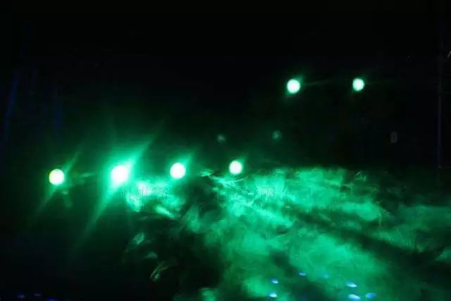 電腦光束搖頭燈光、花紋燈(圖1)